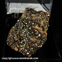 Mineral Specimen: Pyrite, Barite from Burris Mine, Pyramid District, Washoe Co., Nevada Ex. Steve Pullman Mineral Specimen: Pyrite, Barite from Burris Mine, Pyramid District, Washoe Co., Nevada Ex. Steve Pullman