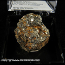 Mineral Specimen: Pyrite from Burris Mine, Pyramid District, Washoe Co., Nevada Ex. Steve Pullman
