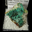 Minerals Specimen: Mixite, Chrysocolla from South Pit, Gold Hill Mine, Tooele Co., Utah Minerals Specimen: Mixite, Chrysocolla from South Pit, Gold Hill Mine, Tooele Co., Utah