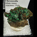 Mineral Specimen: Brochantite, Chrysocolla from Mina Amor, Atacama, Chile Mineral Specimen: Brochantite, Chrysocolla from Mina Amor, Atacama, Chile
