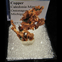 Minerals Specimen: Copper from Caledonia Mine, Ontonagon Co., Michigan Minerals Specimen: Copper from Caledonia Mine, Ontonagon Co., Michigan