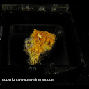 Minerals Specimen: Wulfenite, Mimetite from Sonora Mexico Minerals Specimen: Wulfenite, Mimetite from Sonora Mexico