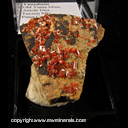 Mineral Specimen: Vanadinite from Old Yuma Mine, Tucson Mts., Pima Co., Arizona Mineral Specimen: Vanadinite from Old Yuma Mine, Tucson Mts., Pima Co., Arizona