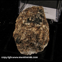 Mineral Specimen: Mottramite from Old Yuma Mine, Tucson Mts., Pima Co., Arizona Mineral Specimen: Mottramite from Old Yuma Mine, Tucson Mts., Pima Co., Arizona