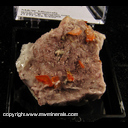 Mineral Specimen: Wulfenite on Barite from Rowley Mine, Thebes, Maricopa Co., Arizona