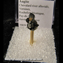 Mineral Specimen: Augite from Chevalard river alluvials, Vernines, Rochefort-Montagne, Puy-de-Dome, Auvergne, France Mineral Specimen: Augite from Chevalard river alluvials, Vernines, Rochefort-Montagne, Puy-de-Dome, Auvergne, France