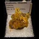 Mineral Specimen: Wulfenite (one broken crystal), Mimetite from Sonora Mexico Ex. A. Neely, 1960s Mineral Specimen: Wulfenite (one broken crystal), Mimetite from Sonora Mexico Ex. A. Neely, 1960s
