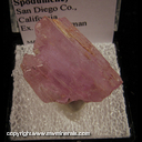 Minerals Specimen: Kunzite (Spodumene) from San Diego Co., California Ex. A. E. Seaman Museum Minerals Specimen: Kunzite (Spodumene) from San Diego Co., California Ex. A. E. Seaman Museum