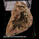 Mineral Specimen: Millerite, Marcasite on Quartz with Included Hematite from US highway 27 roadcut, Halls Gap, Lincoln Co., Kentucky Mineral Specimen: Millerite, Marcasite on Quartz with Included Hematite from US highway 27 roadcut, Halls Gap, Lincoln Co., Kentucky