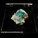 Mineral Specimen: Aurichalcite from Chihuahua, Mexico Ex. A. Neely 1960s Mineral Specimen: Aurichalcite from Chihuahua, Mexico Ex. A. Neely 1960s