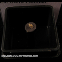 Minerals Specimen: Gold (micromount) from Kittitas Co., Oregon Ex. Steve Pullman Minerals Specimen: Gold (micromount) from Kittitas Co., Oregon Ex. Steve Pullman