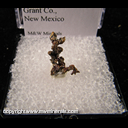 Mineral Specimen: Copper Crystals from Santa Rita, Grant Co., New Mexico Mineral Specimen: Copper Crystals from Santa Rita, Grant Co., New Mexico