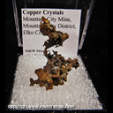 Mineral Specimen: Copper Crystals from Mountain City Mine, Mountain City District, Elko Co., Nevada