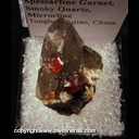 Minerals Specimen: Spessartine Garnet on Smoky Quartz from Tongbei, Fujian, China Minerals Specimen: Spessartine Garnet on Smoky Quartz from Tongbei, Fujian, China