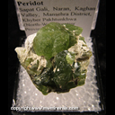 Mineral Specimen: Peridot from Sapat Gali, Naran, Kaghan Valley, Mansehra District, Khyber Pakhtunkhwa (North-West Frontier Province), Pakistan Mineral Specimen: Peridot from Sapat Gali, Naran, Kaghan Valley, Mansehra District, Khyber Pakhtunkhwa (North-West Frontier Province), Pakistan