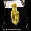 Minerals Specimen: Sulfur, Stalactic from A byproduct from processing coal, West Virginia. Minerals Specimen: Sulfur, Stalactic from A byproduct from processing coal, West Virginia.