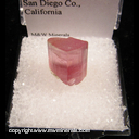 Mineral Specimen: Tourmaline (gemmy) from Himalaya Mine, San Diego Co., California Mineral Specimen: Tourmaline (gemmy) from Himalaya Mine, San Diego Co., California