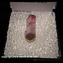 Mineral Specimen: Tourmaline from Pederneira Mine, Sao Jose da Safira, Minas Gerais, Brazil Mineral Specimen: Tourmaline from Pederneira Mine, Sao Jose da Safira, Minas Gerais, Brazil