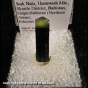Mineral Specimen: Tourmaline from Stak Nala, Haramosh Mts., Skardu District, Baltistan, Gilgit-Baltistan (Northern Areas), Pakistan Mineral Specimen: Tourmaline from Stak Nala, Haramosh Mts., Skardu District, Baltistan, Gilgit-Baltistan (Northern Areas), Pakistan