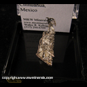 Minerals Specimen: Silver from New Nevada Mine, Batopilas, Chihuahua, Mexico Minerals Specimen: Silver from New Nevada Mine, Batopilas, Chihuahua, Mexico