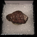Mineral Specimen: Pyrite from Bellevue, Erie Co., Ohio