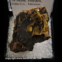 Mineral Specimen: Wulfenite, Mottramite from 79 Mine, Hayden, Gila Co., Arizona Mineral Specimen: Wulfenite, Mottramite from 79 Mine, Hayden, Gila Co., Arizona