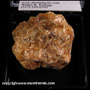 Minerals Specimen: Pyrophyllite coated with Hematite from Tres Cerritos, Indian Gulch, Mariposa Co., California Minerals Specimen: Pyrophyllite coated with Hematite from Tres Cerritos, Indian Gulch, Mariposa Co., California