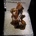 Mineral Specimen: Wulfenite from Los Lamentos, Chihuahua, Mexico Mineral Specimen: Wulfenite from Los Lamentos, Chihuahua, Mexico