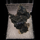 Minerals Specimen: Bornite on Silver from San Panteon de la Noria, San Martin de Sombrete, Zacatecas, Mexico Minerals Specimen: Bornite on Silver from San Panteon de la Noria, San Martin de Sombrete, Zacatecas, Mexico