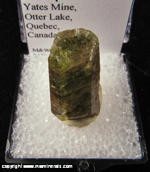 Minerals Specimen: Fluorapatite from Yates Mine, Otter Lake, Quebec, Canada Minerals Specimen: Fluorapatite from Yates Mine, Otter Lake, Quebec, Canada