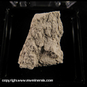 Mineral Specimen: Sepiolite from Sepiolite deposit, Vallecas, Madrid, Spain Ex. Steve Pullman, Ex. Gunnar Bjareby Mineral Specimen: Sepiolite from Sepiolite deposit, Vallecas, Madrid, Spain Ex. Steve Pullman, Ex. Gunnar Bjareby