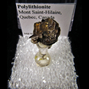 Mineral Specimen: Polylithionite from Mont Saint-Hilaire, Quebec, Canada Mineral Specimen: Polylithionite from Mont Saint-Hilaire, Quebec, Canada