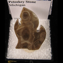 Mineral Specimen: Petoskey Stone from Michigan