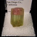 Mineral Specimen: Tourmaline (gemmy, not terminated) from Himalaya Mine, San Diego Co., California Mineral Specimen: Tourmaline (gemmy, not terminated) from Himalaya Mine, San Diego Co., California