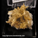 Minerals Specimen: Bysollite on Adularia (specimen glued to bottom of TN box for shipping purposes) from Keystone Trap Quarry, Cornog, Wallace Twp., Chester Co., Pennsylvania Minerals Specimen: Bysollite on Adularia (specimen glued to bottom of TN box for shipping purposes) from Keystone Trap Quarry, Cornog, Wallace Twp., Chester Co., Pennsylvania