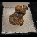 Mineral Specimen: Andradite Garnet from Garnet Hill, Calaveras Co., California Ex. Steve Pullman