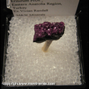 Minerals Specimen: Kammererite - Chromian Clinochlore from Kop Krom Mine, Kop Daglari, Erzurum Prov., Eastern Anatolia Region, Turkey, Ex. Vivian Randall Minerals Specimen: Kammererite - Chromian Clinochlore from Kop Krom Mine, Kop Daglari, Erzurum Prov., Eastern Anatolia Region, Turkey, Ex. Vivian Randall