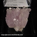 Minerals Specimen: Amethyst from Guanajuato, Guanajuato, Mexico, Ex. A. Neely, 1960s Minerals Specimen: Amethyst from Guanajuato, Guanajuato, Mexico, Ex. A. Neely, 1960s