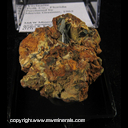 Mineral Specimen: Vivianite from Polk Co., Florida, Purchased by Mervin Greenier, 1965 Mineral Specimen: Vivianite from Polk Co., Florida, Purchased by Mervin Greenier, 1965