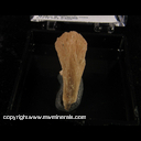 Minerals Specimen: Stilbite from New Jersey; purchased by Mervin Greenier, 1958 Minerals Specimen: Stilbite from New Jersey; purchased by Mervin Greenier, 1958