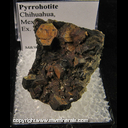 Mineral Specimen: Pyrrhotite from Chihuahua, Mexico; Ex. A. Neely, 1960s