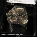 Minerals Specimen: Pyrite - Hopper Growth Habit from Magma Mine, Superior, Pioneer Dist., Pinal Co., Arizona Minerals Specimen: Pyrite - Hopper Growth Habit from Magma Mine, Superior, Pioneer Dist., Pinal Co., Arizona