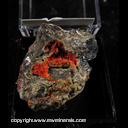 Minerals Specimen: Mimetite and Mixed Lead Oxides on Galena from Arizona, 1975 or older Minerals Specimen: Mimetite and Mixed Lead Oxides on Galena from Arizona, 1975 or older