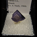 Minerals Specimen: Fluorite from Hardin Co., Illinois Ex. A. Neely, 1960s Minerals Specimen: Fluorite from Hardin Co., Illinois Ex. A. Neely, 1960s