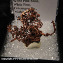 Mineral Specimen: Copper: Cubic and Chain Crystals from White Pine Mine, White Pine, Ontonagon County, Michigan Mineral Specimen: Copper: Cubic and Chain Crystals from White Pine Mine, White Pine, Ontonagon County, Michigan