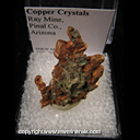 Mineral Specimen: Copper Crystals from Ray Mine, Pinal Co., Arizona