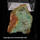 Minerals Specimen: Posnjakite, Gypsum from New Cornelia Pit, Ajo, Pima Co., Arizona, Ex. Dave Shannon, Ex. Bruce & Jo Runner Minerals Specimen: Posnjakite, Gypsum from New Cornelia Pit, Ajo, Pima Co., Arizona, Ex. Dave Shannon, Ex. Bruce & Jo Runner