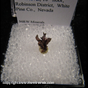 Mineral Specimen: Copper Crystals from Richard Mine, 700 ft. level, 10th floor, Robinson Dist., White Pine Co., Nevada, 1943-1945 Mineral Specimen: Copper Crystals from Richard Mine, 700 ft. level, 10th floor, Robinson Dist., White Pine Co., Nevada, 1943-1945