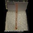 Mineral Specimen: Selenite from Colorado Mineral Specimen: Selenite from Colorado