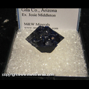 Minerals Specimen: Azurite Crystal from Bluebird Mine, Miami, Miami-Inspiration District, Globe-Miami District, Gila Co., Arizona, Ex. Josie Middleton Minerals Specimen: Azurite Crystal from Bluebird Mine, Miami, Miami-Inspiration District, Globe-Miami District, Gila Co., Arizona, Ex. Josie Middleton